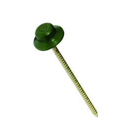 Vinys, 2,8 x 65 mm, apvaliomis plastikinėmis galvutėmis, bituminių lakštų tvirtinimui, žalios sp., 80 vnt.
