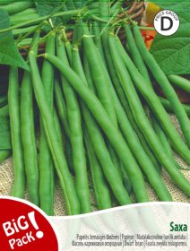 Daržovių sėklos, pupelės žemaūgės daržinės Saxa, 20 g., 07819, D