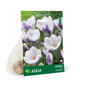 Krokų Prins Claus svogūnėliai ASEJA Premium, 5 vnt., 5/+, (R)