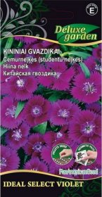 Gėlių sėklos, gvazdikai kininiai Ideal select violet, 10 s., 1382, E
