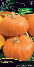 Daržovių sėklos, moliūgai didieji Bambino, 2 g., 5648, C