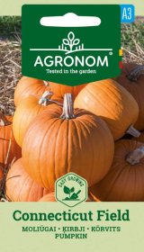 Daržovių sėklos, AGRONOM moliūgai CONNECTICUT FIELD, 1,5 g.
