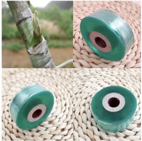 Medžių skiepijimo juosta, 2,5 cm x 100 m