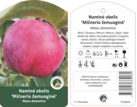 Vaismedis, obelis žemuoginė "Ničnerio"