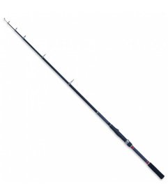 Meškerė ROBINSON Carbonic Tele - Spin, 2,70 m, 10-30 g