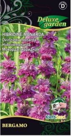 Gėlių sėklos, hibridinė monarda Bergamo, 0,1 g., 1856, D