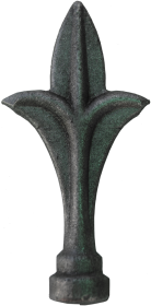 Apvalus antgalis, L06Ag011