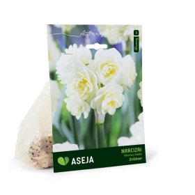 Pilnavidurių narcizų Erlicheer svogūnėliai ASEJA Luxury, 4 vnt., 15/+, (R)