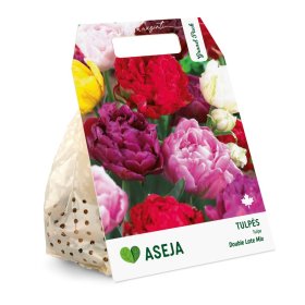 Pilnavidurių vėlyvųjų tulpių Mix svogūnėliai ASEJA Grand Pack, 15 vnt., 10/11, 504351, (R)