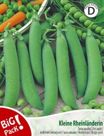 Daržovių sėklos, žirniai apvalieji Kleine Rheinlanderin, 20 g., 07864, D