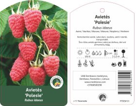 Vaiskrūmis, avietė "Polesie"