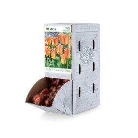Fosterio tulpės Orange Emperor svogūnėlis ASEJA, 1 vnt., 11/12, Rackbox, 84044811, (R)