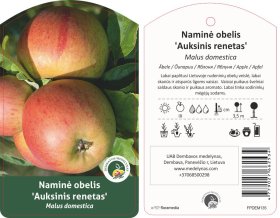 Vaismedis, obelis rudeninė "Auksinis renetas"