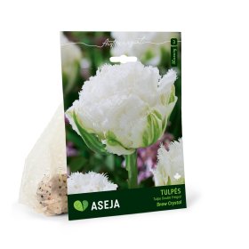Šerkšnotųjų pilnavidurių tulpių Snow Crystal svogūnėliai ASEJA, 5 vnt., 11/12, 32916711, (R)
