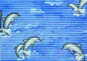 Vonios kilimėlis BENEDOMO, 65 x 45 cm, PVC, įvairių dizainų