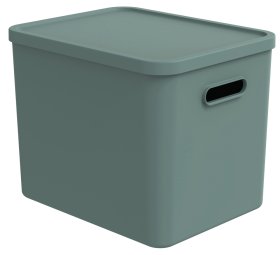 Daiktadėžė ROTHO Albula, 27 l, su dangčiu, žalsvos sp.