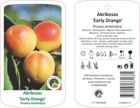 Vaismedis, abrikosas "Early Orange"