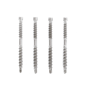 Terasiniai medsraigčiai FASTSHIFTER INVISIBLE, 4,5 x 60 mm, A2 nerūd. plieno, 600 vnt., TORX15