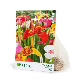 Margosios tigrenės Mix svogūnėliai ASEJA, 15 vnt., 5/7, 83975805, (P)