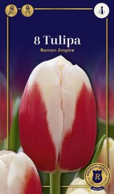 Triumfo tulpių Roman Empire svogūnėliai, 8 vnt., 12/+, Supreme, 618446, (R)