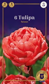 Pilnavidurių vėlyvųjų tulpių Taiwan svogūnėliai, 6 vnt., 12/+, Supreme, 81048712, (R)