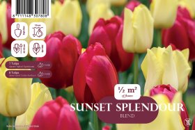Tulpių svogūnėlių rinkinys Sunset Splendour, 15 vnt., Landscape Bag, 80985311, (R)