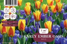 Gėlių svogūnėlių rinkinys Early Ember Oasis, 25 vnt., Landscape Bag, 80985200, (R)