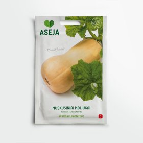 Muskusiniai moliūgai Waltham Butternut, ASEJA, 1,5 g, 20-0215 (D)