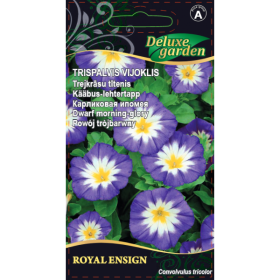 Gėlių sėklos, trispalvis vijoklis Royal Ensign, 1 g., 8939, A