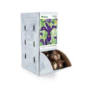 Olandiškojo vilkdalgio Blue Pearl svogūnėlis ASEJA, 1 vnt., 8/9, Rackbox (R)