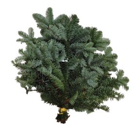 Kėnio šakų ryšulėlis, 3-5 šakelės, 500 g.