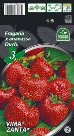 Braškių daigai (frigo) Vima Zanta A, 3 vnt. pakuotėje