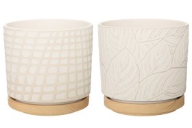 Kambarinis keraminis vazonas 4Living Spring, su lėkštute, su lapelių motyvais, baltos sp., 17 x 17 x 16 cm.