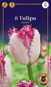 Šerkšnotųjų tulpių Eyelash svogūnėliai, 6 vnt., 12/+, Supreme, 618369, (R)