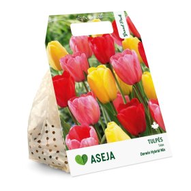 Darvino hibridinių tulpių Mix svogūnėliai ASEJA Grand Pack, 15 vnt., 10/11, 504337, (R)