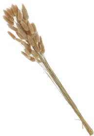 Džiovintų žolių puokštė, 65 cm