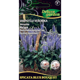 Gėlių sėklos, veronika varpotoji Spicata blue bouquet, 10 s., 3188, F