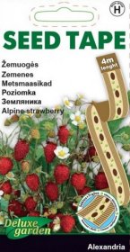 Daržovių sėklos, žemuogės Alexandria, 4 m, H