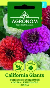 Gėlių sėklos, AGRONOM gvaizdūnės puikiosios jurgininės CALIFORNIA GIANTS, 0,5 g.
