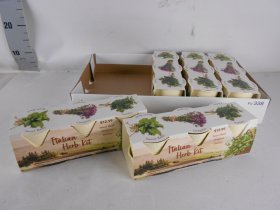 Prieskoninis augalas, įvairūs, vazonėlio skersmuo 10 cm.