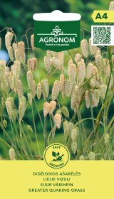 Gėlių sėklos, AGRONOM ašarėlės didžiosios, 0,5 g.