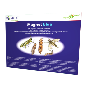 Magnet BLUE gaudyklė MKDS Magnet BLUE