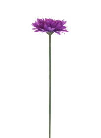 Dirbtinė gėlė gerbera NOVELLY HOME FP-3290/GA/V, violetinės sp., aukštis - 59 cm.