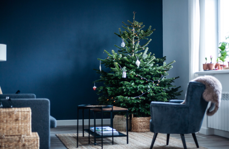 KAIP PERSODINTI KALĖDŲ EGLĘ?