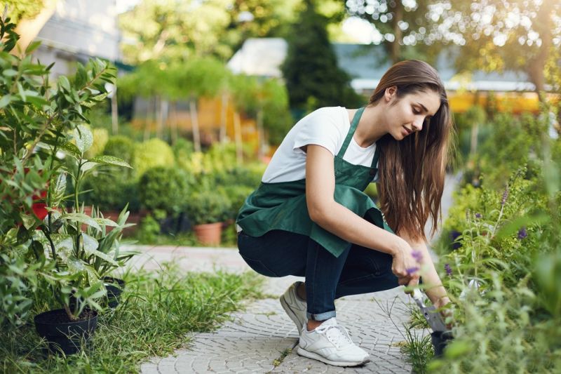 SODININKO KALENDORIUS: KĄ NUVEIKTI SODE, DARŽE, GĖLYNE BIRŽELĮ?