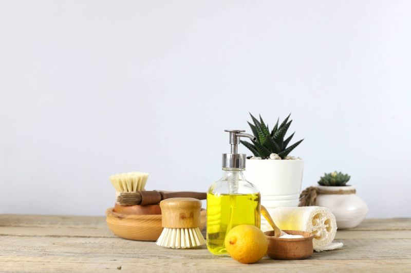 NATŪRALŪS VALIKLIAI NAMAMS: KAIP PASIGAMINTI?