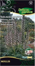 Gėlių sėklos, akantas švelnusis Mollis, 5 s., 1108, H