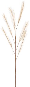 Dekoracija Plunksnos ant stiebo, šviesiai rudos sp., 90 cm