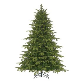 Dirbtinė eglė NOVELLY HOME, Nordmann Fir, žalios sp., 215 cm