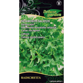 Daržovių sėklos, salotos sėjamosios Radichetta, 1 g., 9714, B
